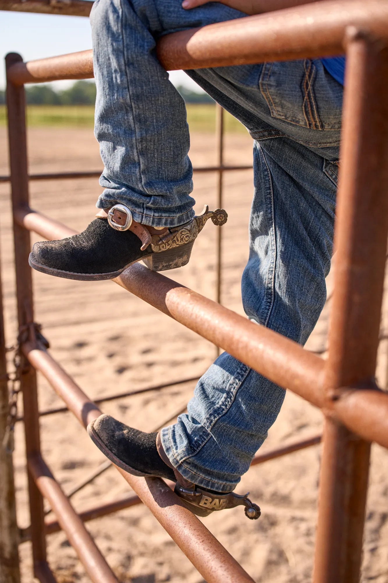 Ariat Footwear