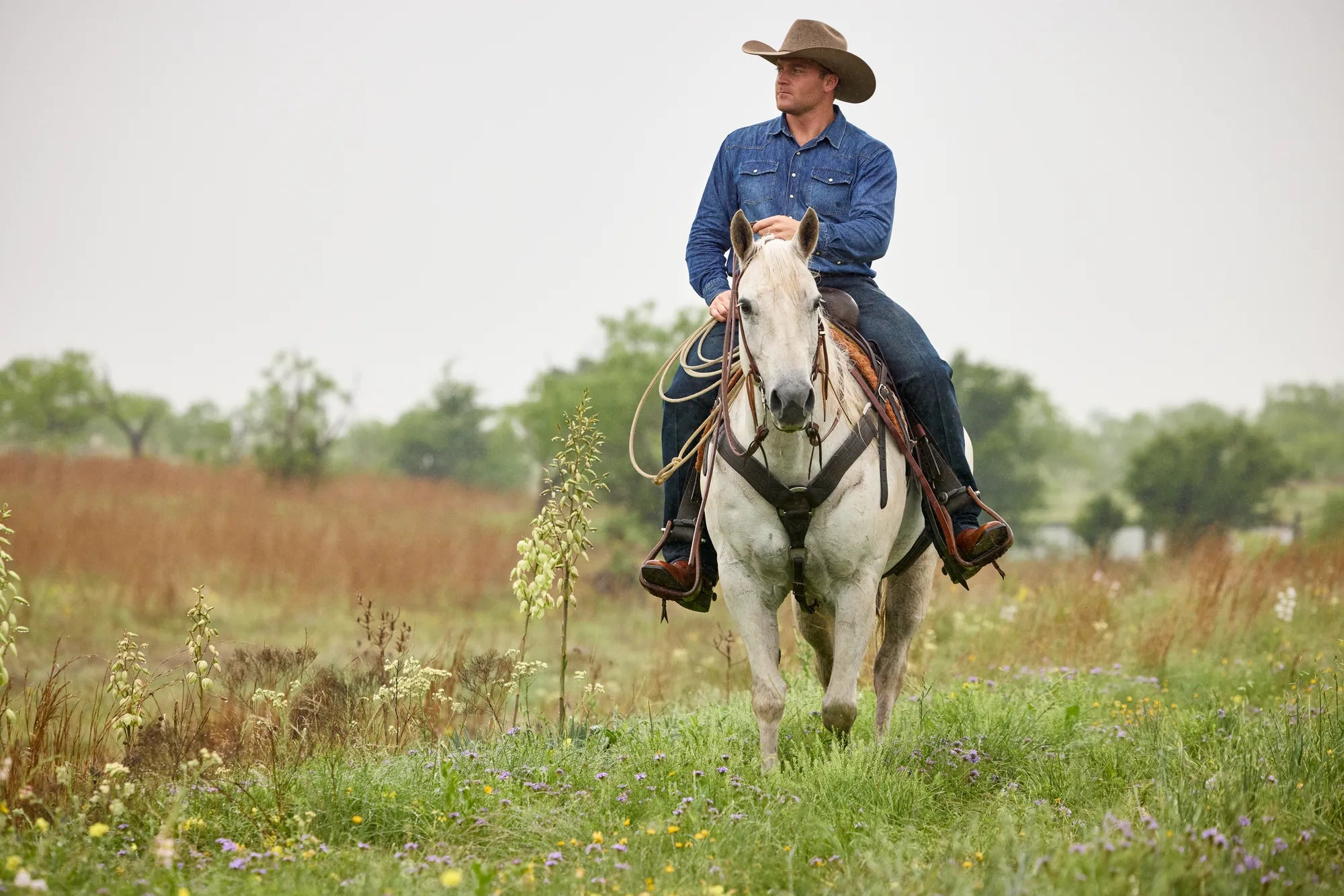 Ariat Menswear