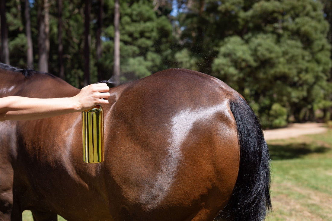 Hairy Pony Mane, Tail & Coat Care