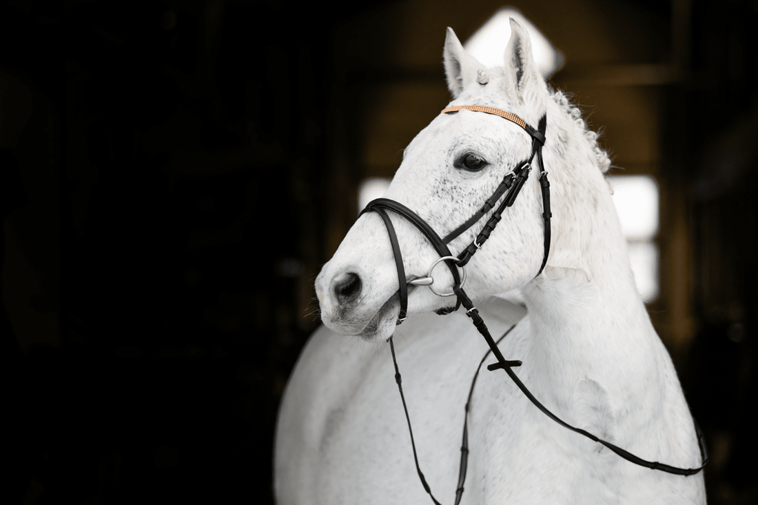 Pony Bridles & Reins
