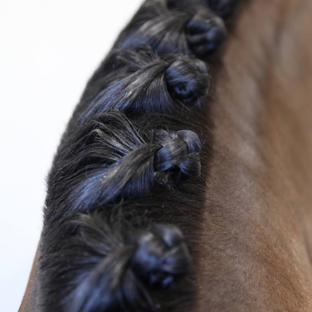 Hairy Pony Plaiting