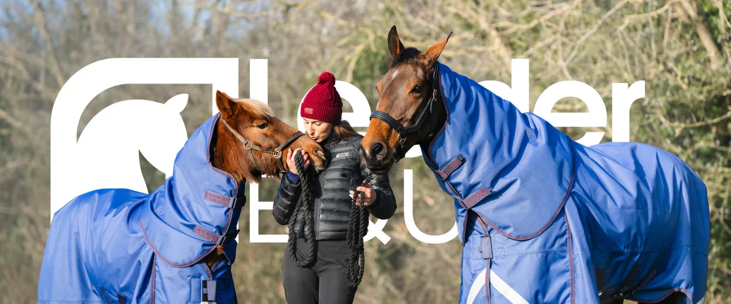Leader Equine