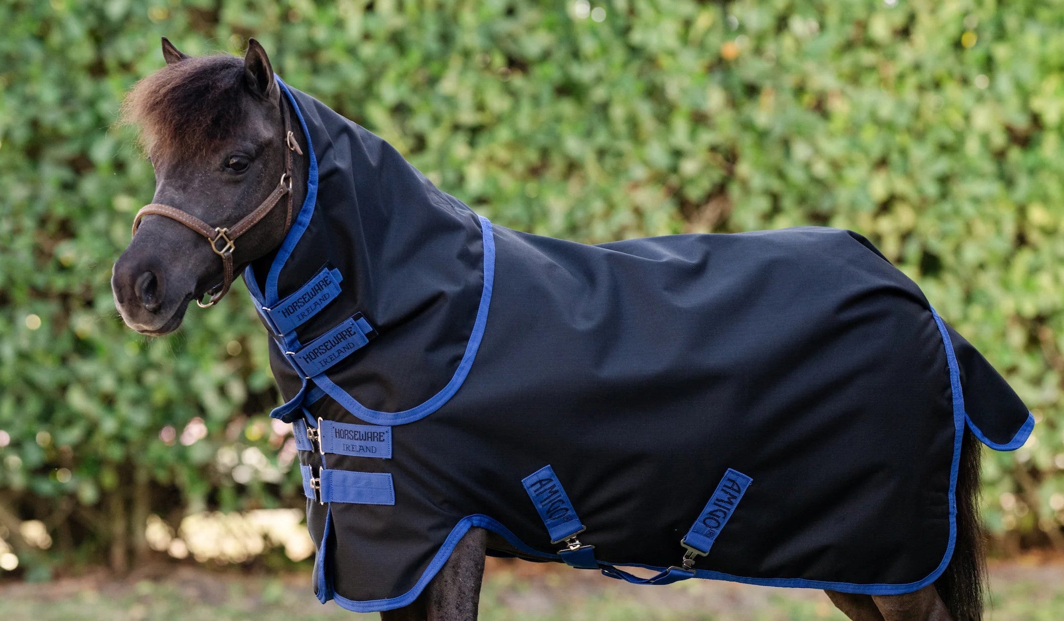 Small Pony and Mini Rugs and Covers