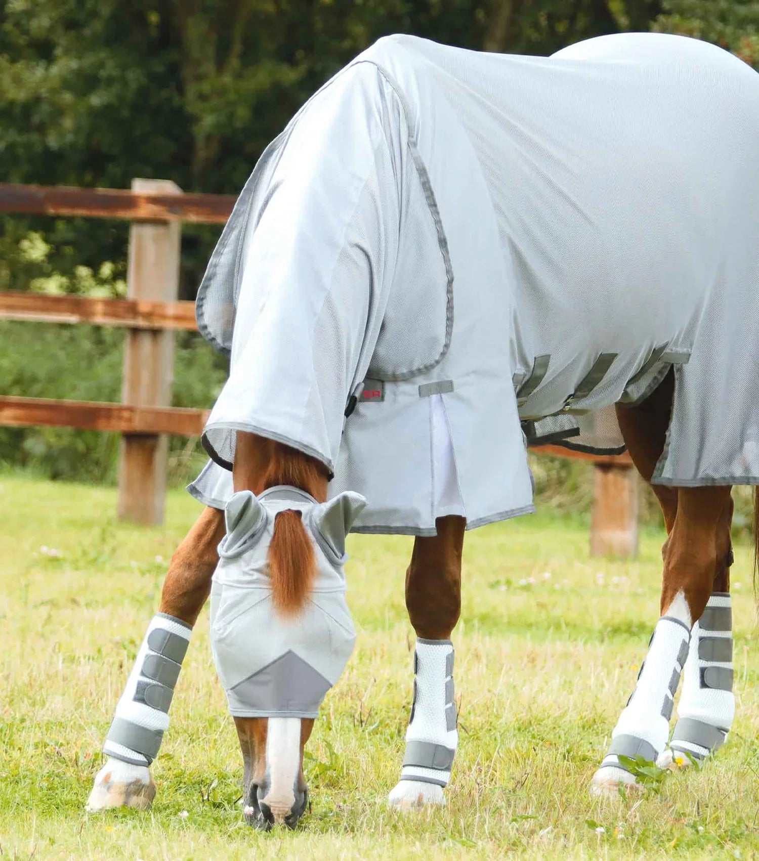 Fly Masks &amp; Fly Boots for Horses