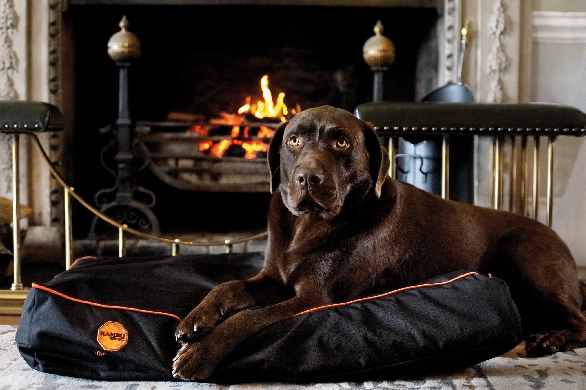 Dog Beds