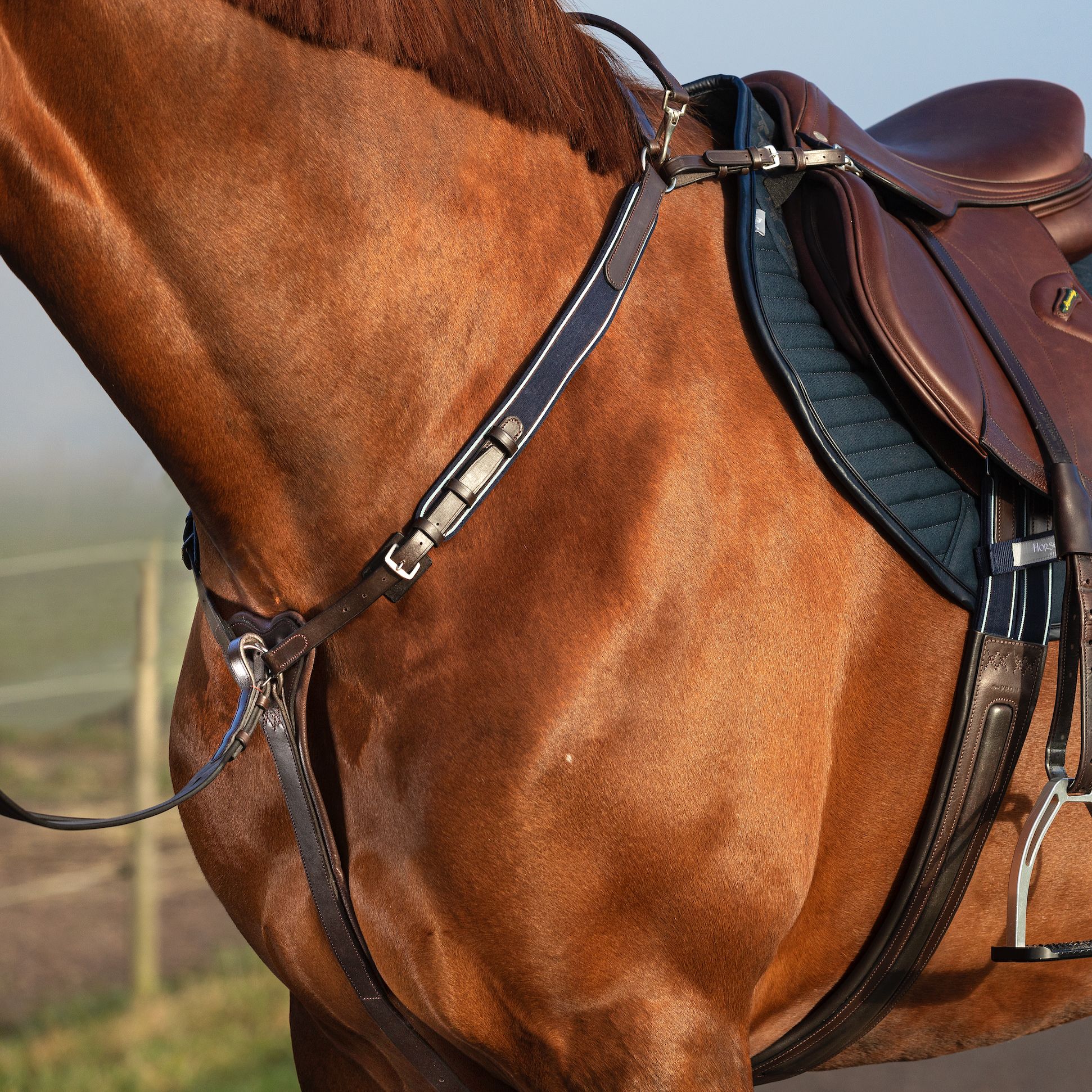 Breastplates & Martingales