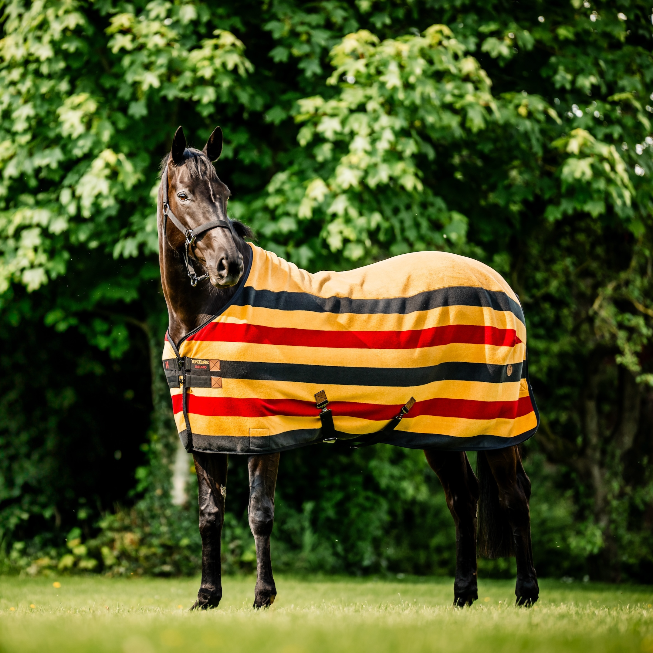 Horse Cooler Rugs