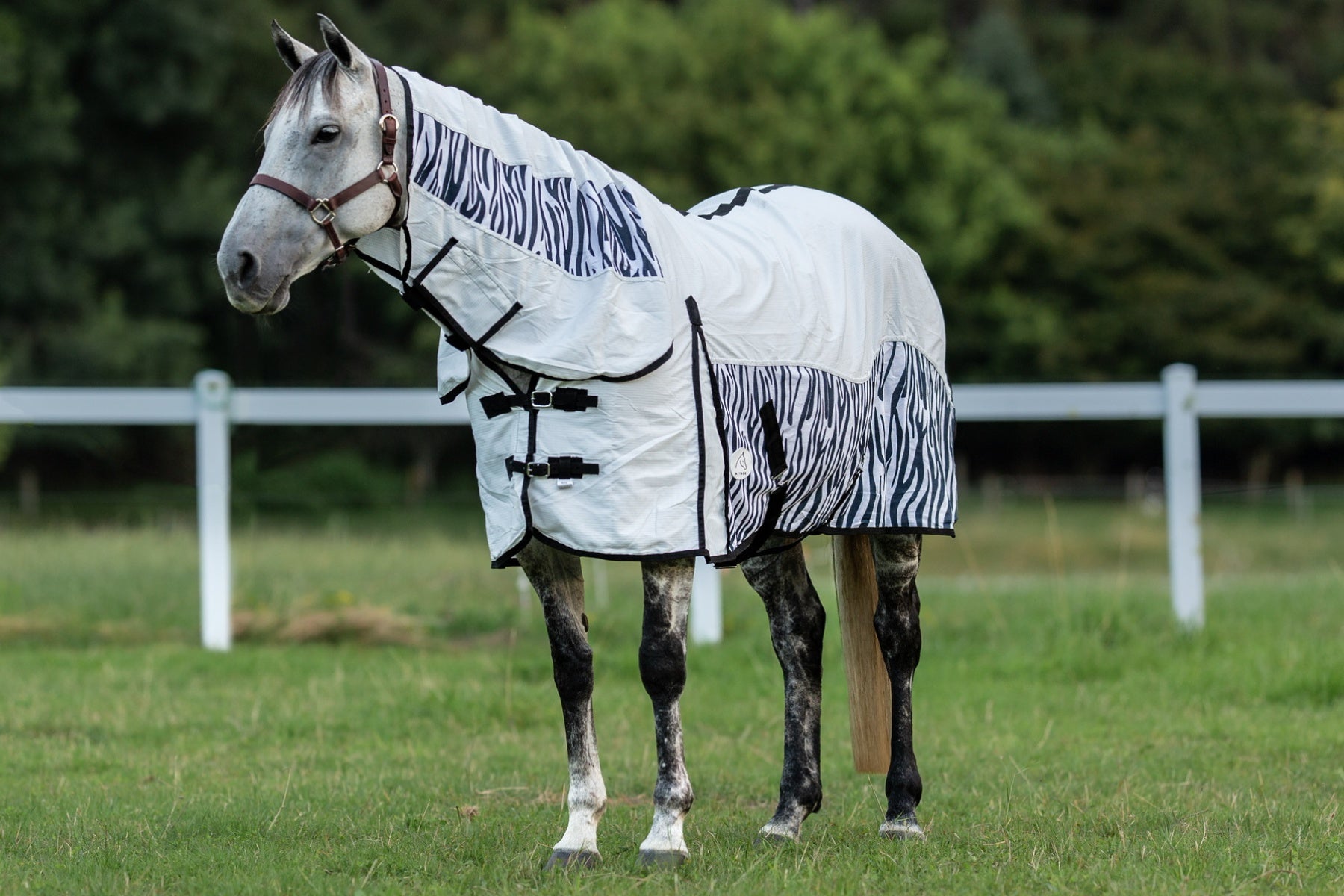 Summer Horse Rugs