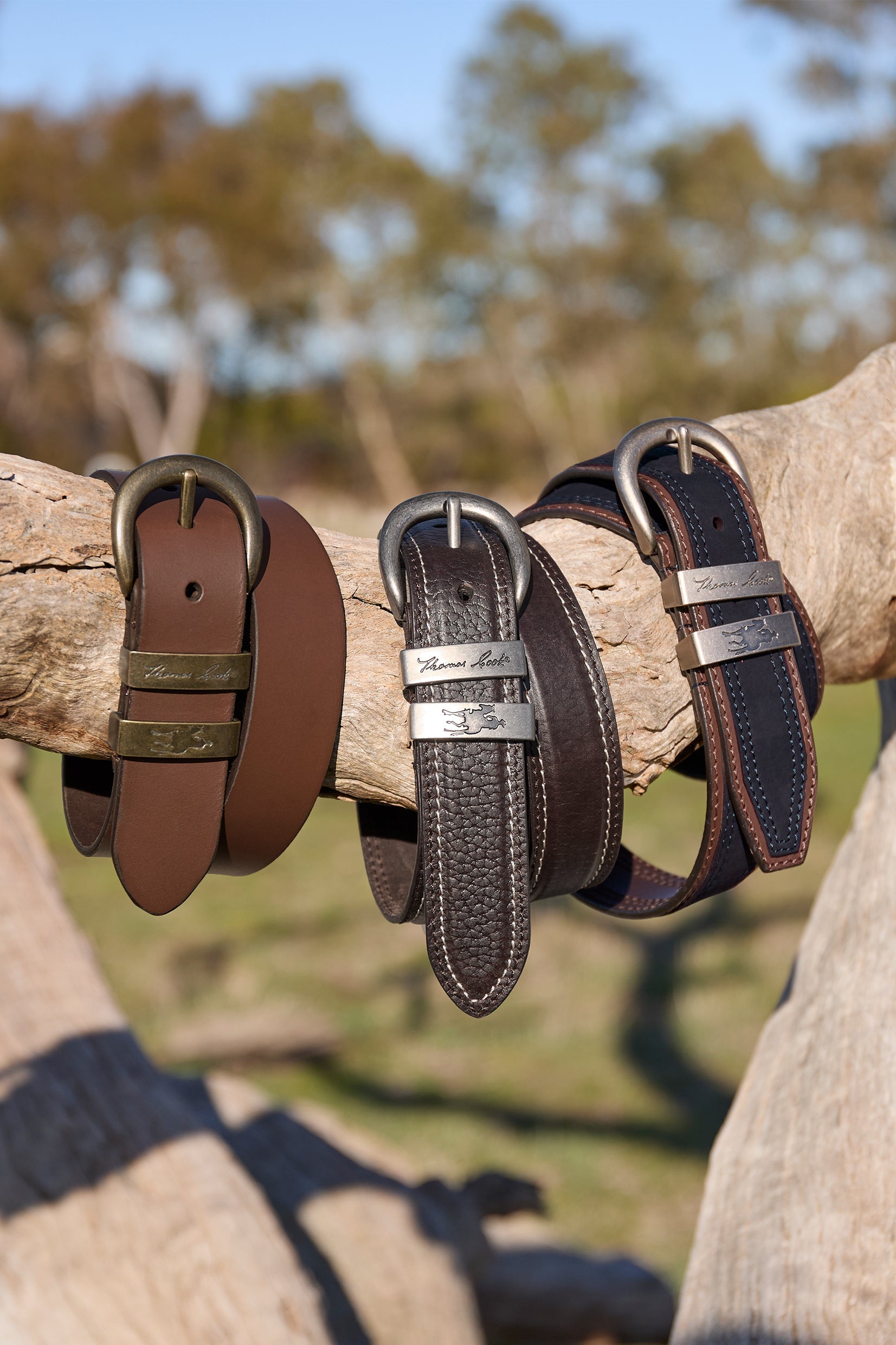 Thomas Cook Belts