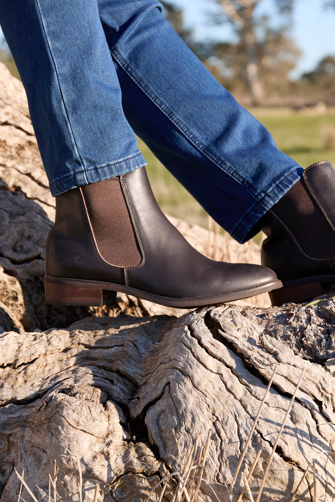Footwear Accessories