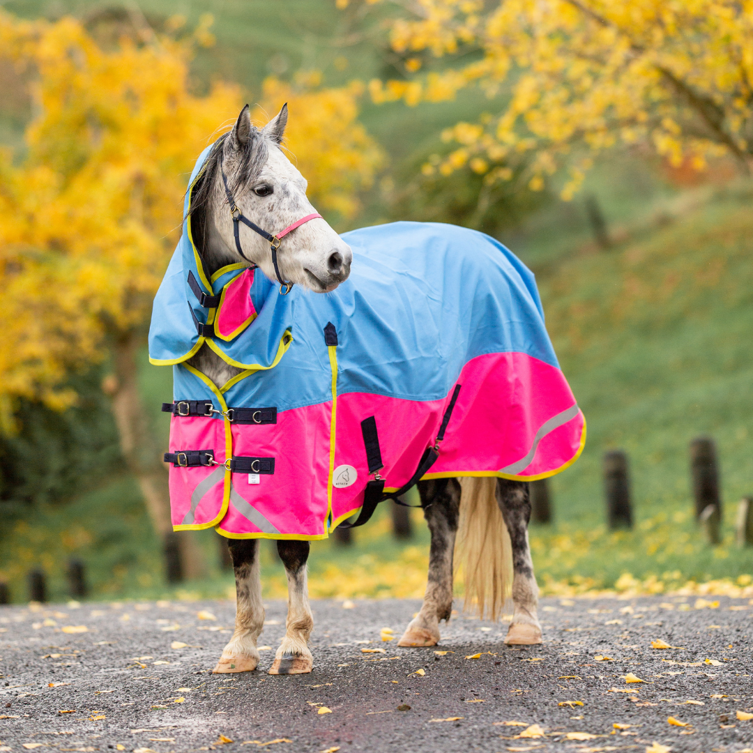 Winter & Mid Season Horse Rugs