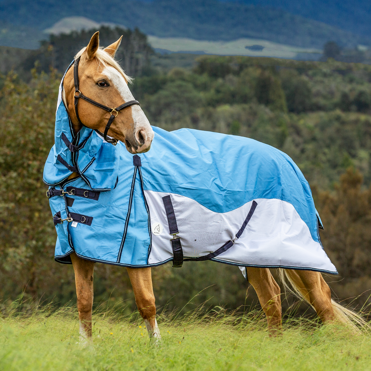 All Rugs and Covers Auto Best sellers 7 days