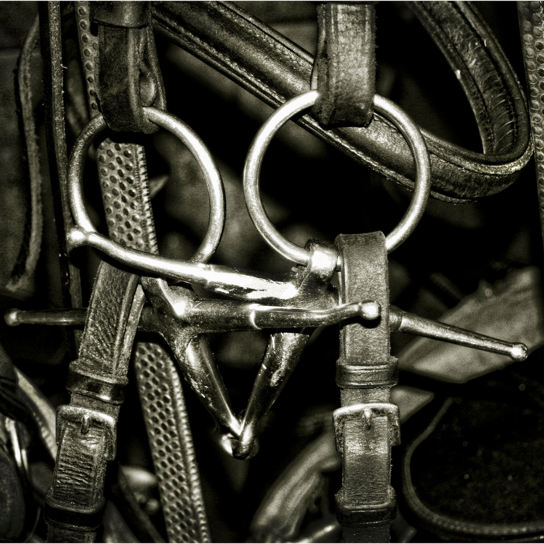 Bits and Accessories