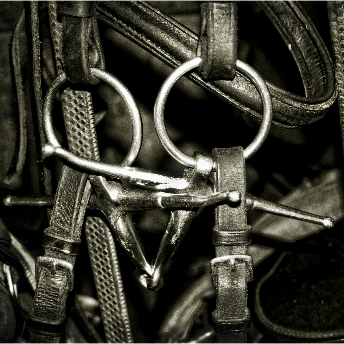 Bits & Accessories