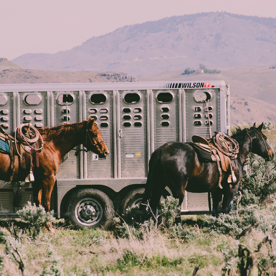 Western Girths & Latigos