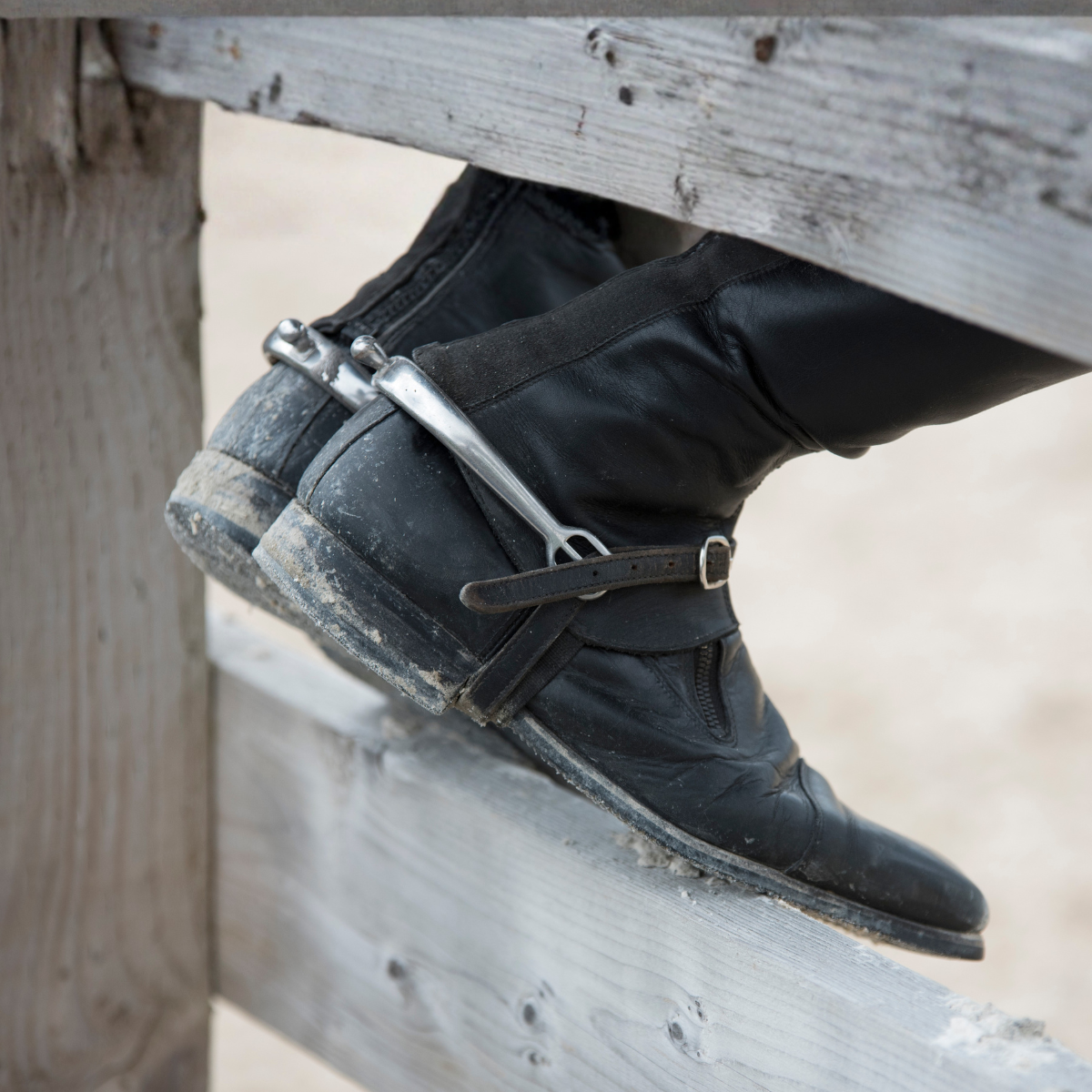 Spurs & Straps