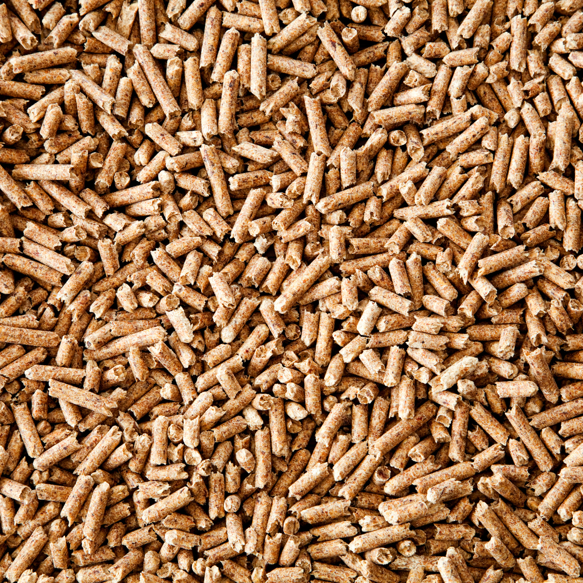 Soy Free Horse Feeds