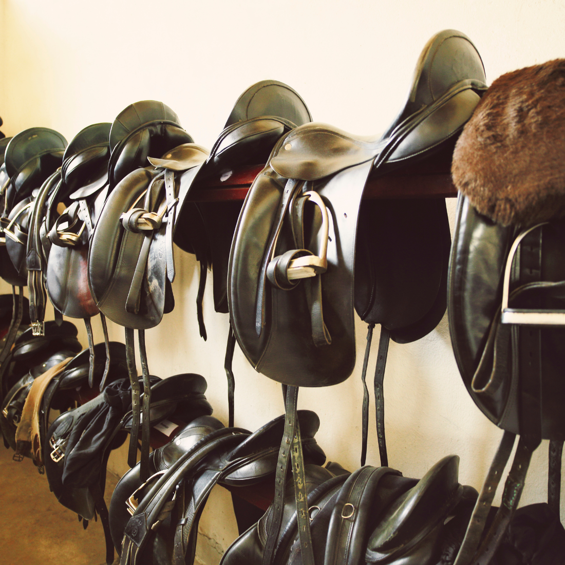 Saddlery