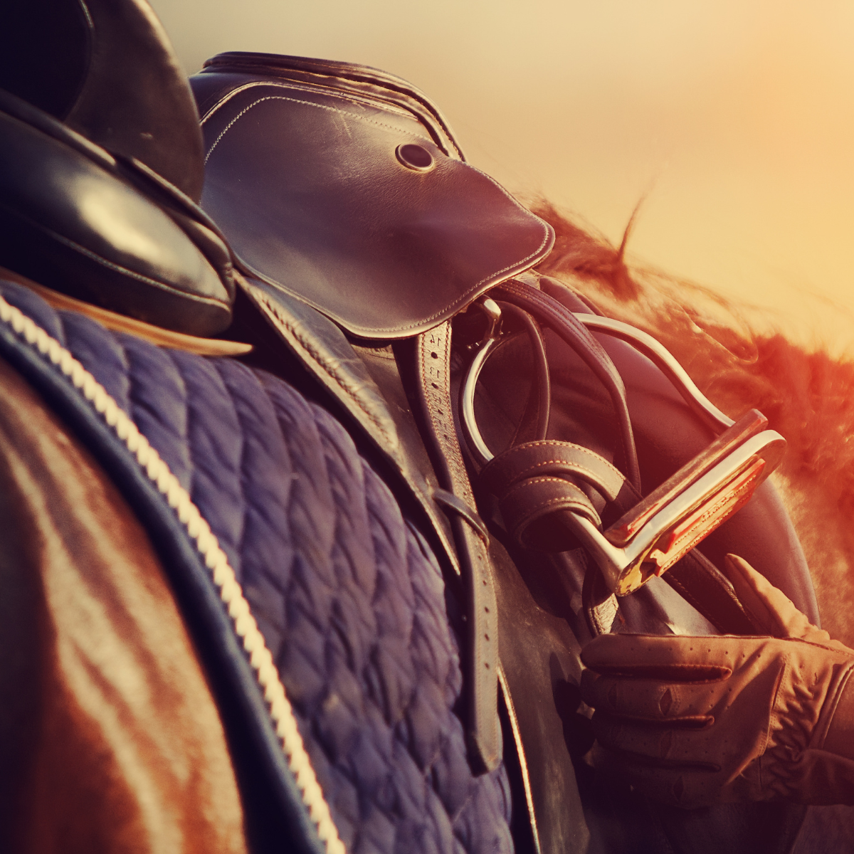 Stirrup Leathers