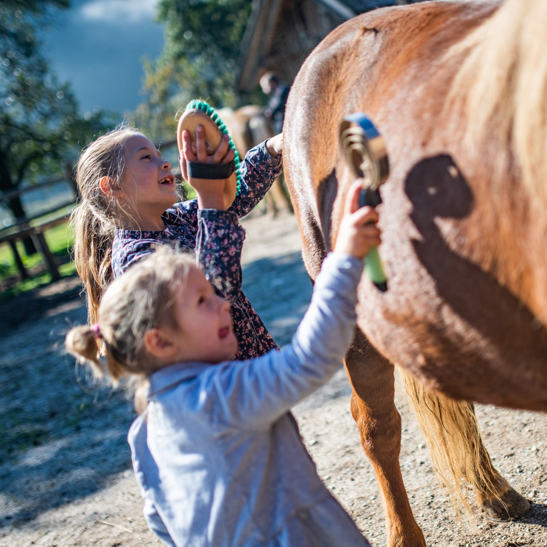 Kids Grooming