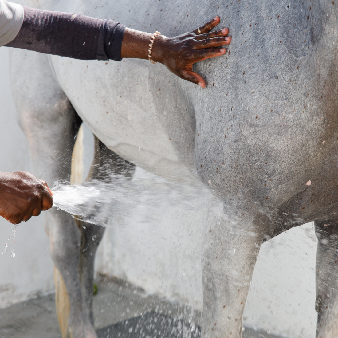 Hoses, Nozzles & Wash Bay Essentials