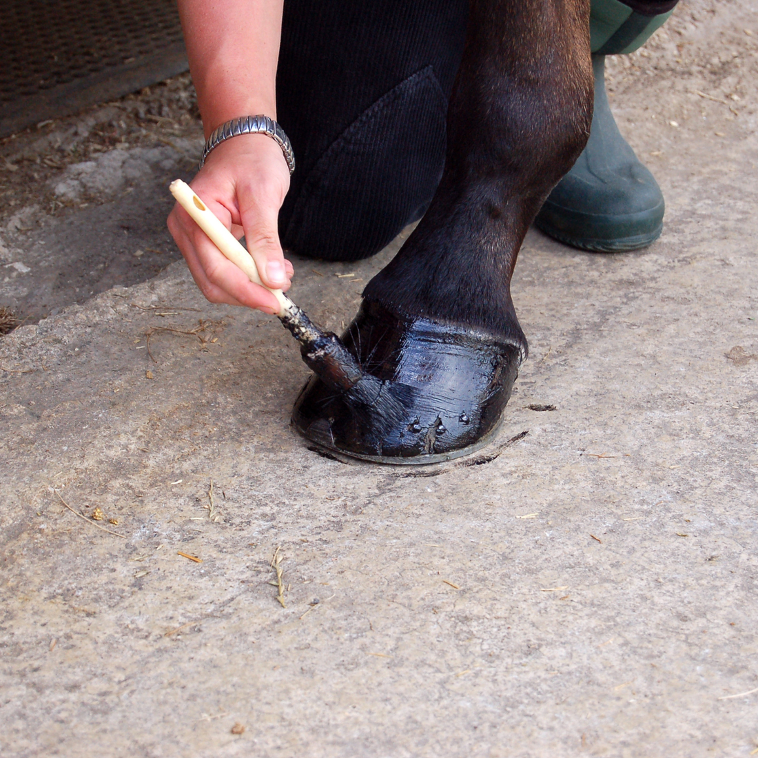 Hoof Polish