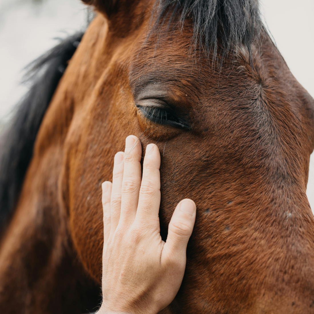 Topical Wound Care