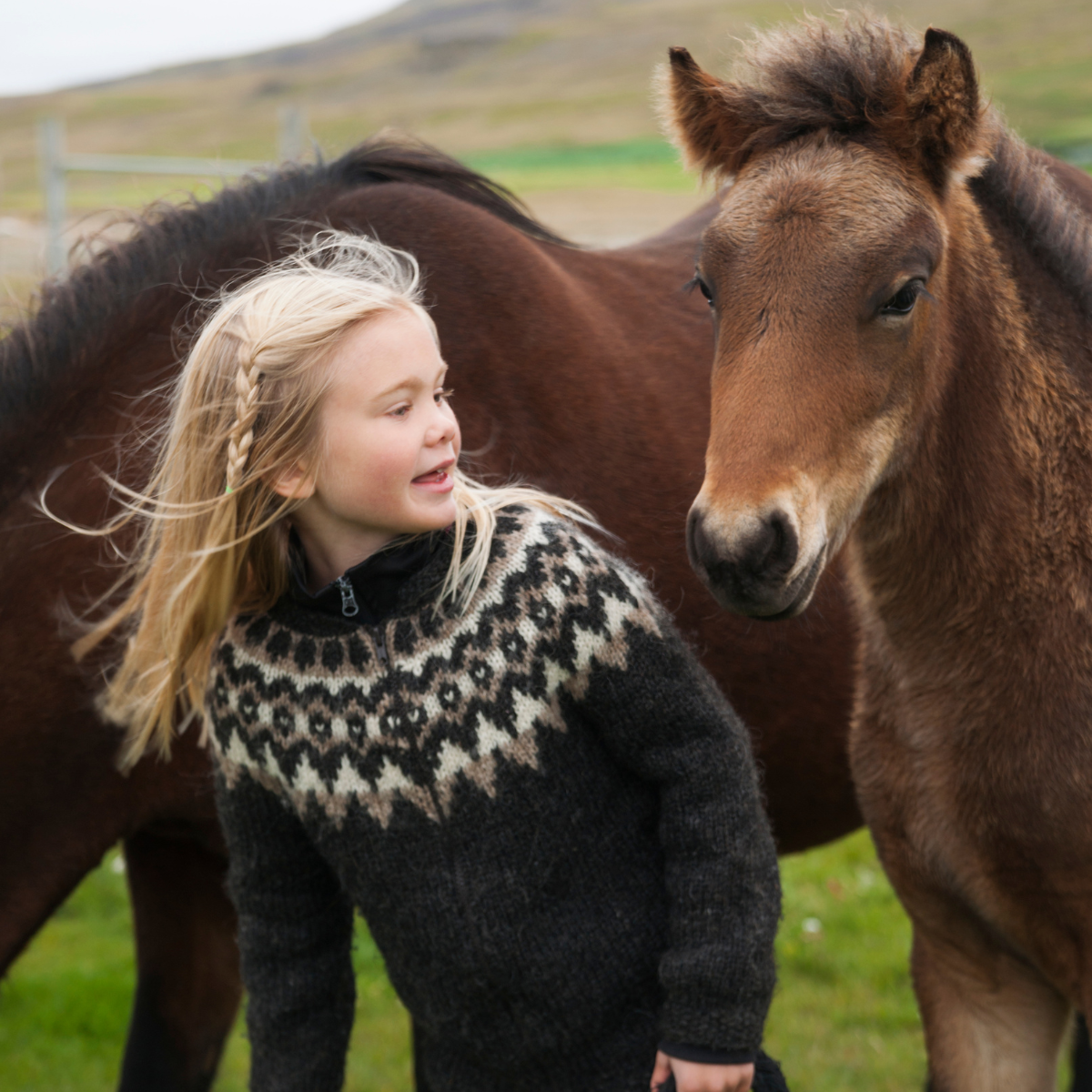Pony Whips & Accessories