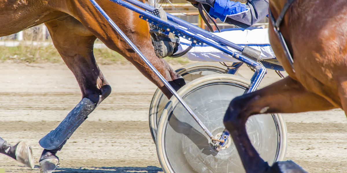 Harness Racing