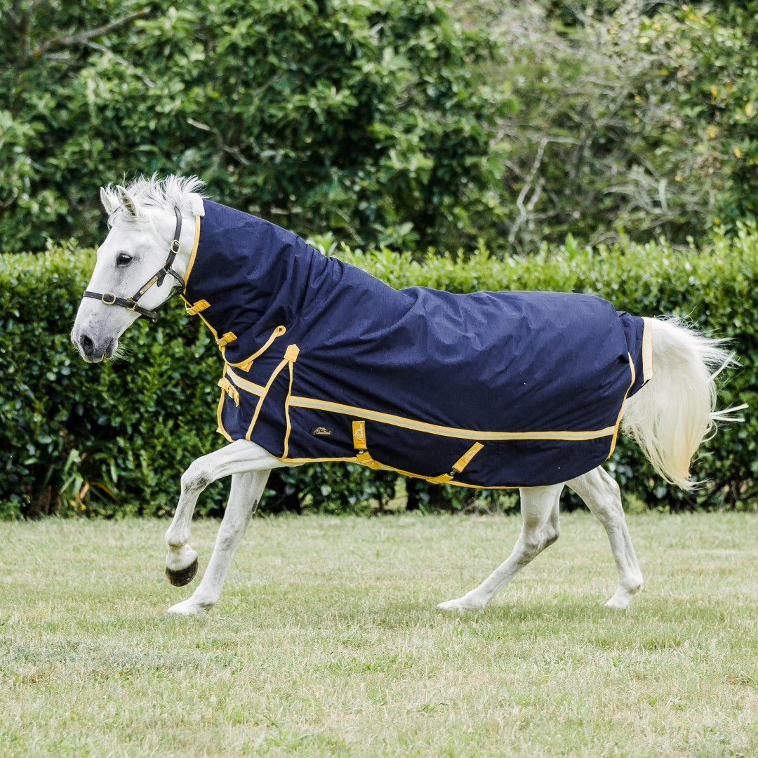 Winter Horse Rugs