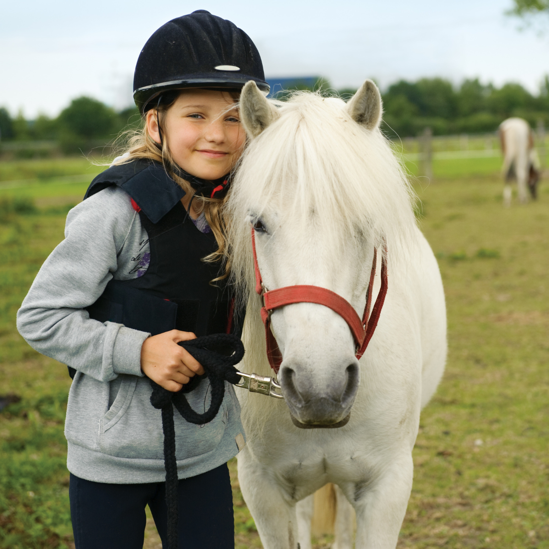 Pony Gear