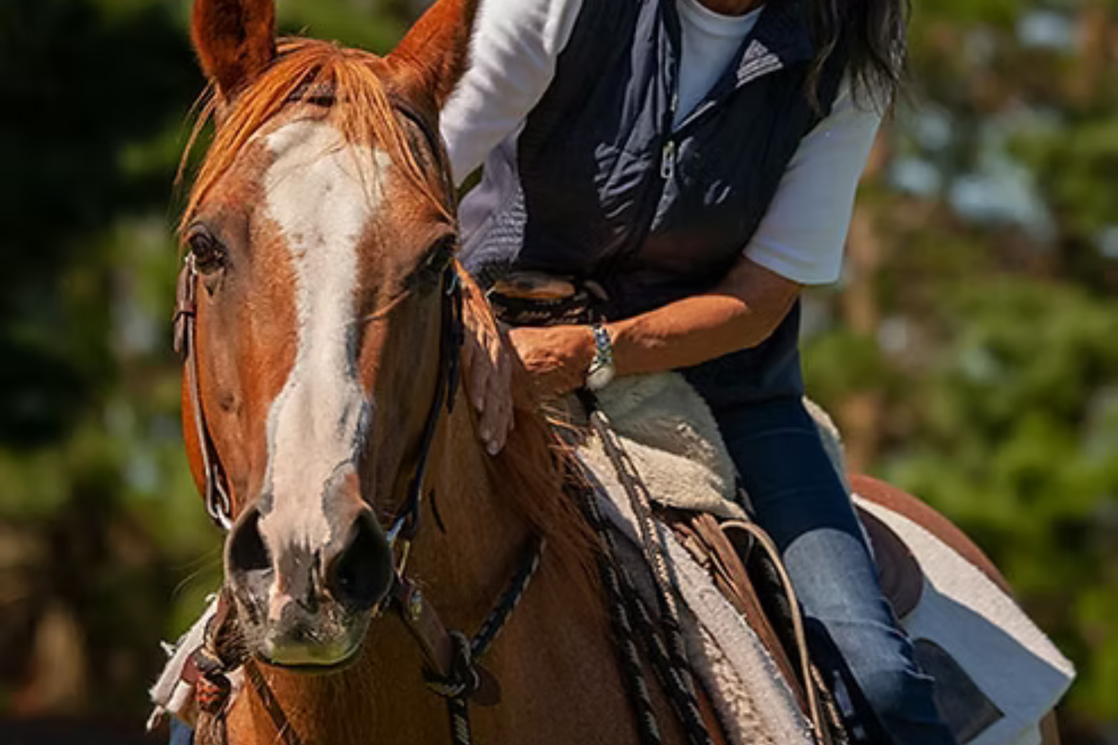 Calm Healthy Horses