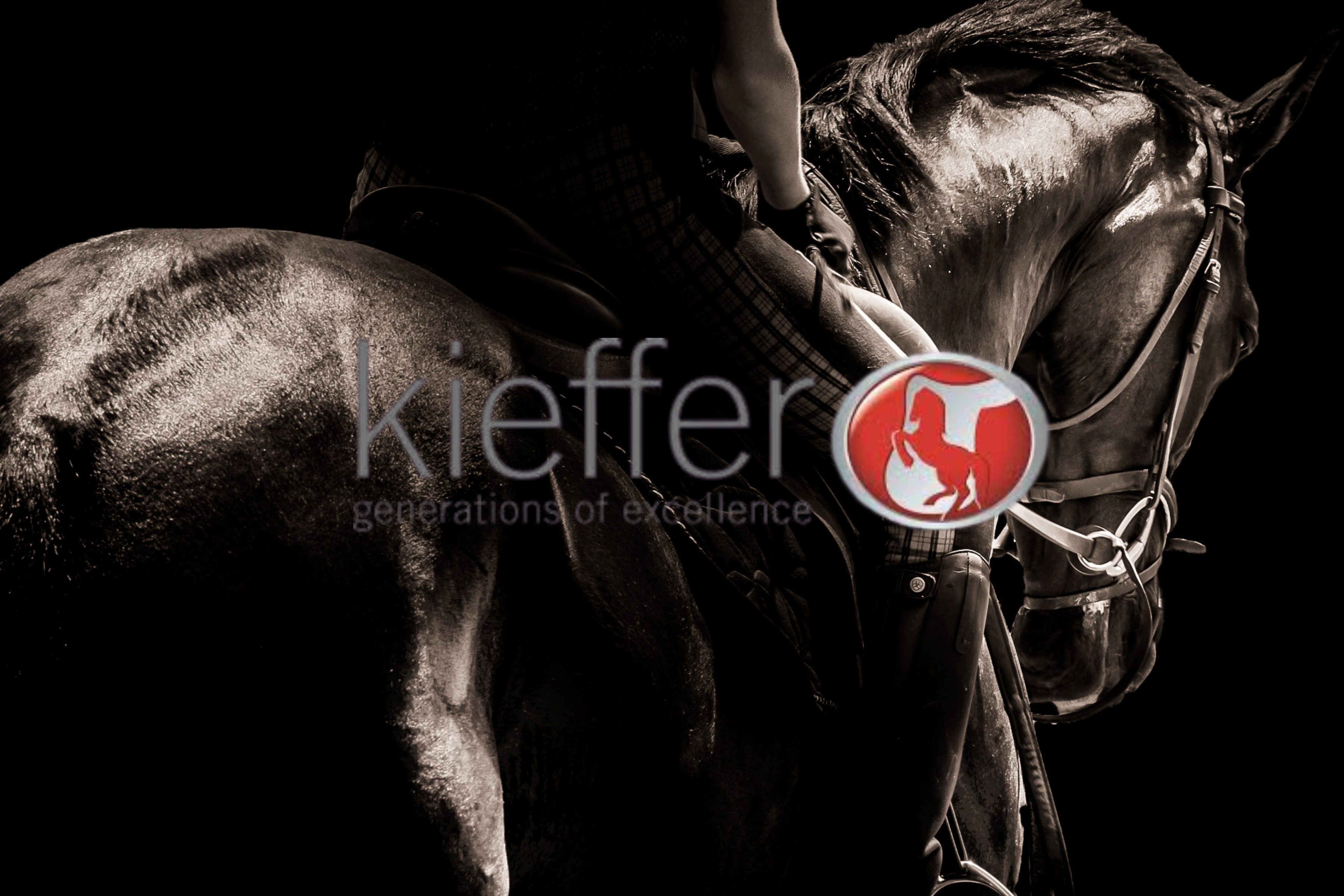 Kieffer – NZ Tack Saddlery Co