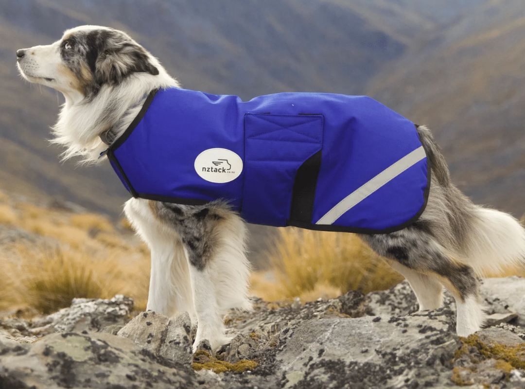 All Dog Coats