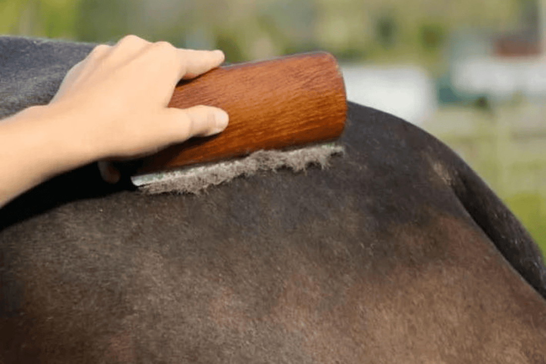Massage, Recovery & Shedding Tools