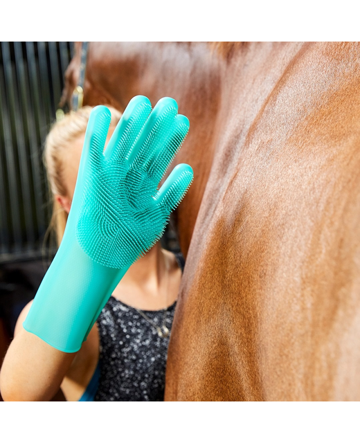 Massages & Grooming Mitts