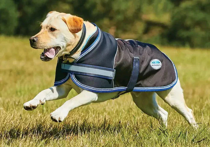 Weatherbeeta Dog Coats and Jackets