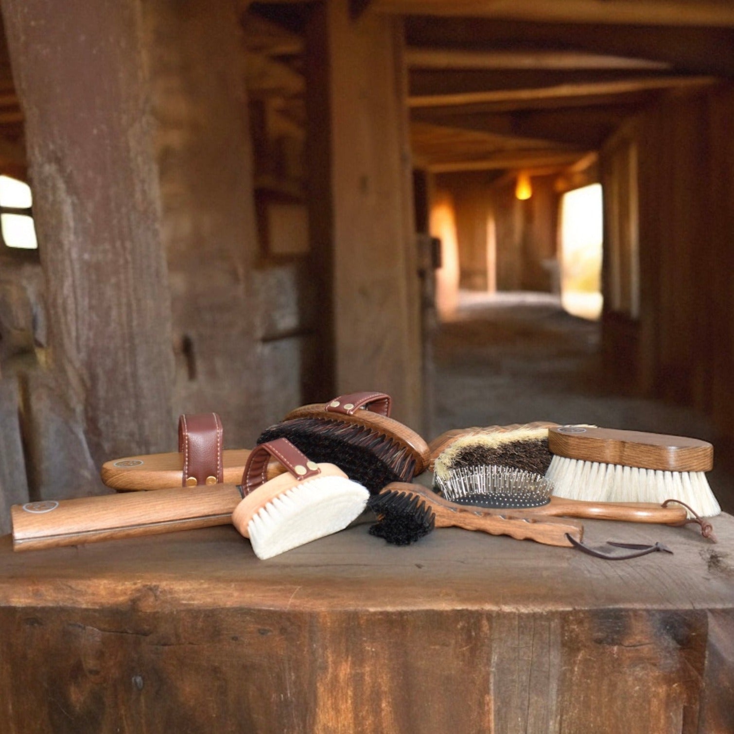 Eco Horse Brushes