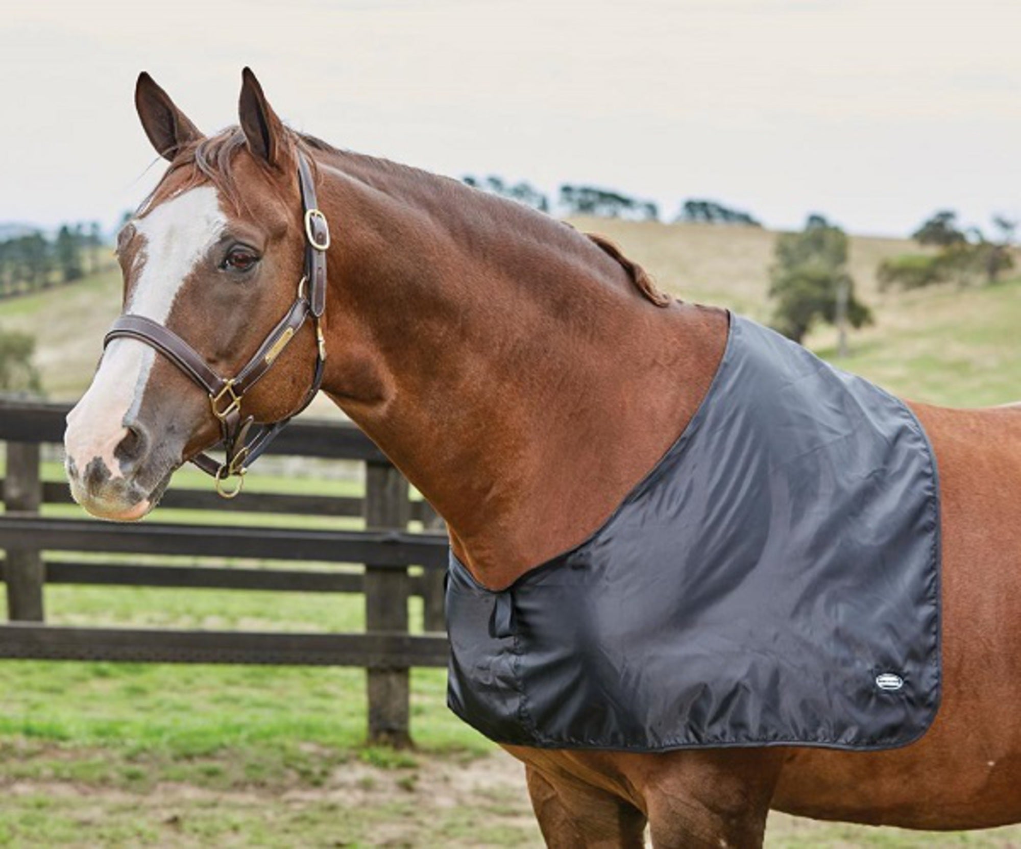 Anti Rub Vests