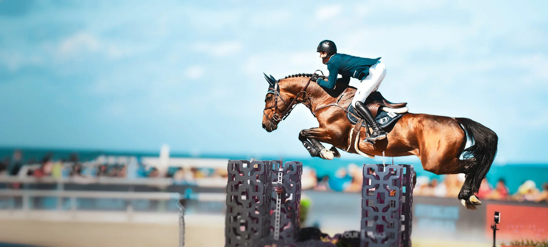 Equine America NZ