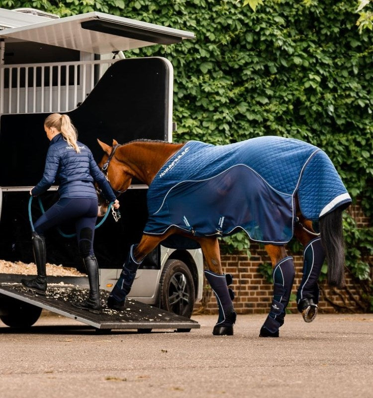 All Stable Rugs for Horses