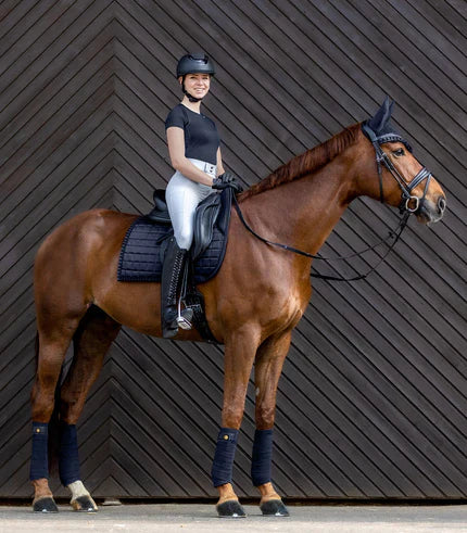 Bug Repellents & Fly Sprays for Horses