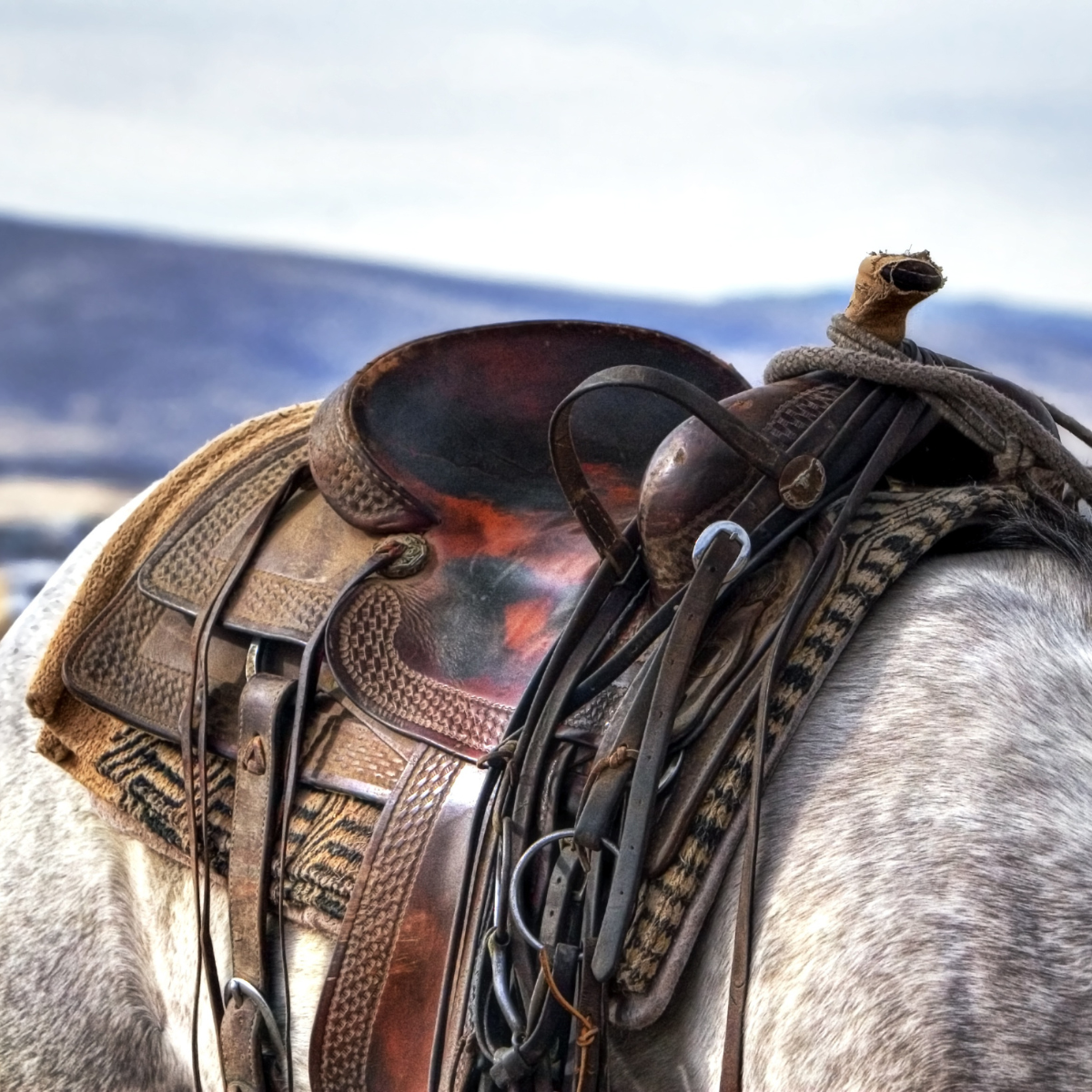 Western Tack & Saddle Pads