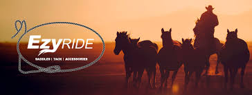 Ezy Ride