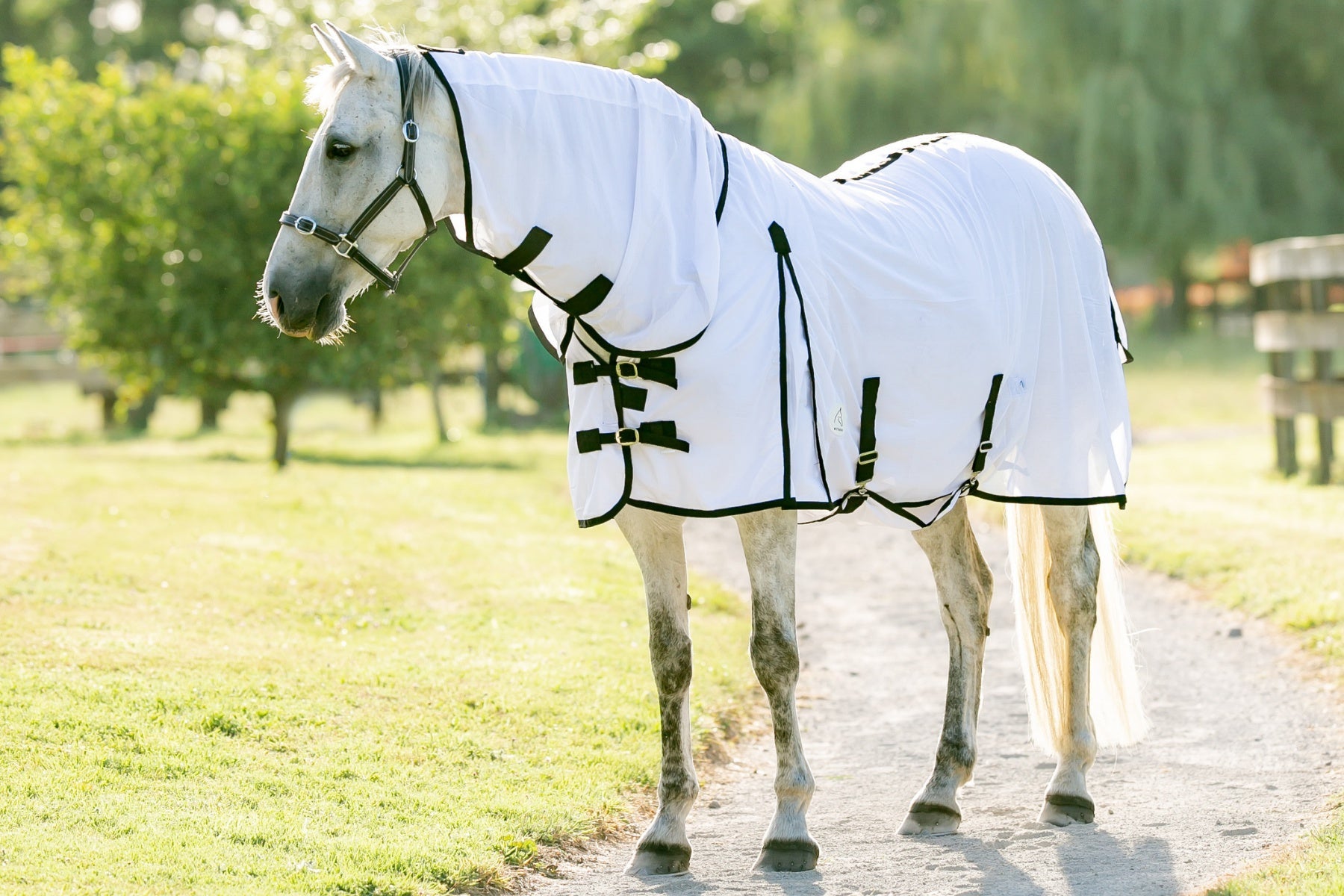 Mesh Horse Rugs & Fly Sheets