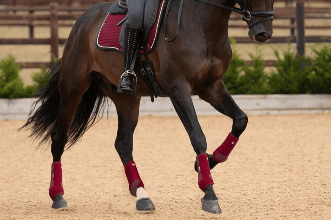Premier Equine Air-Tech Sports Medicine Boots - 5