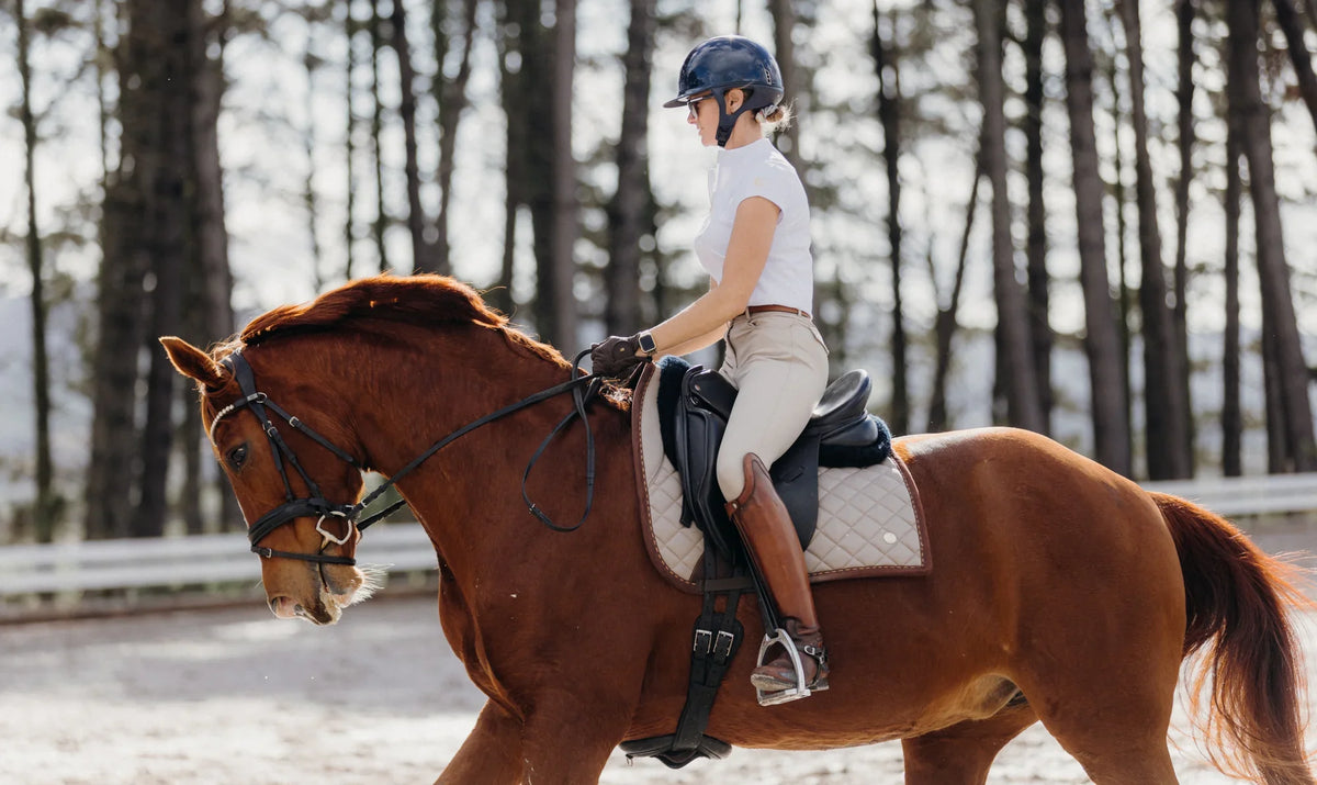 Saddle & Canter Riding Top - Valentina