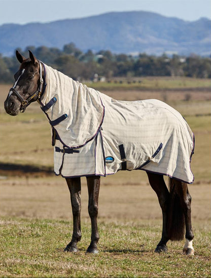 Weatherbeeta Cotton Summer Sheet Combo