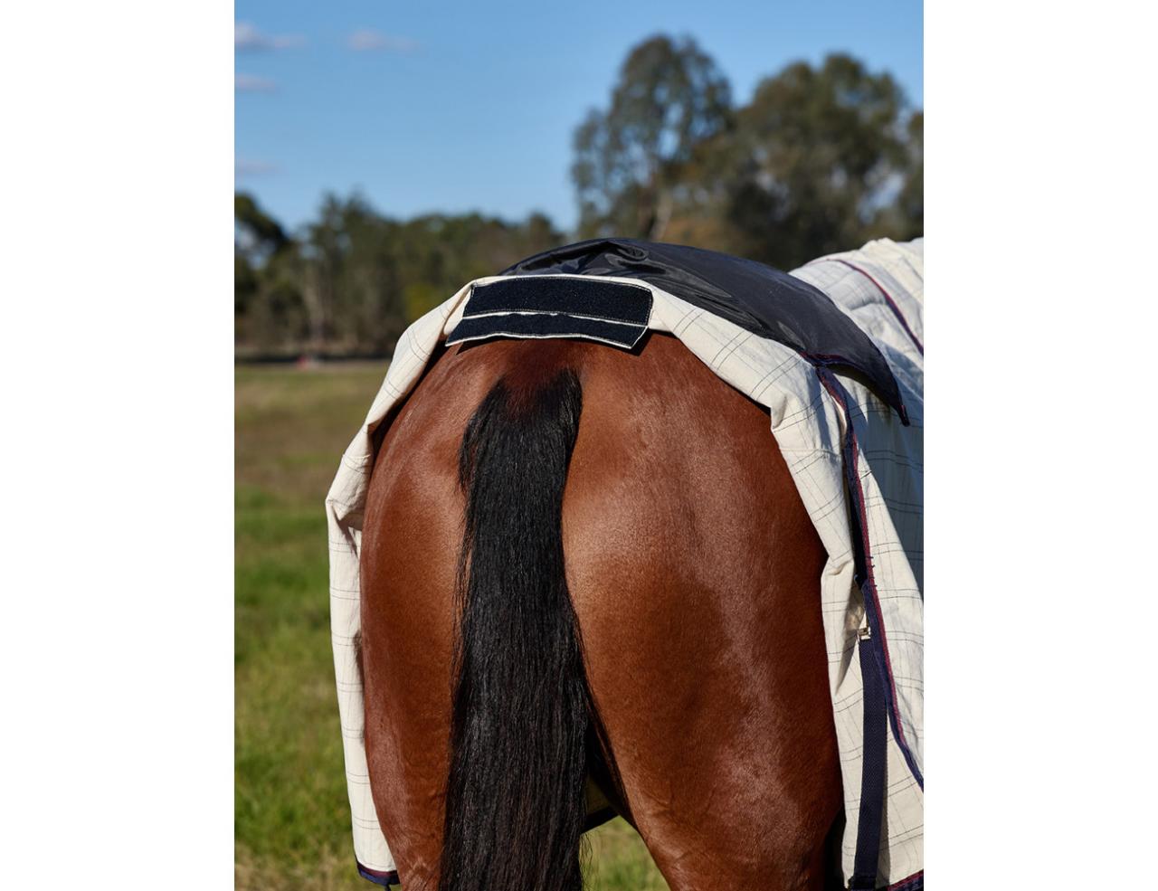 Weatherbeeta Cotton Summer Sheet Tail Bag