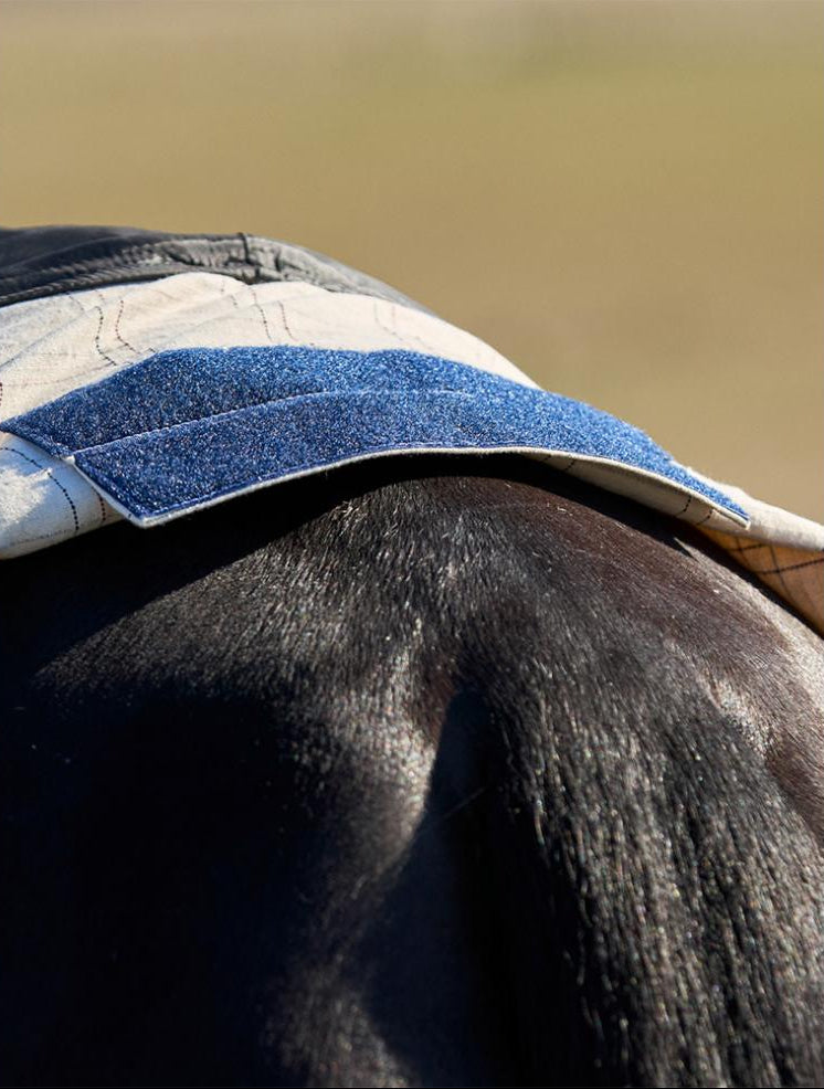 Weatherbeeta Cotton Summer Sheet Combo